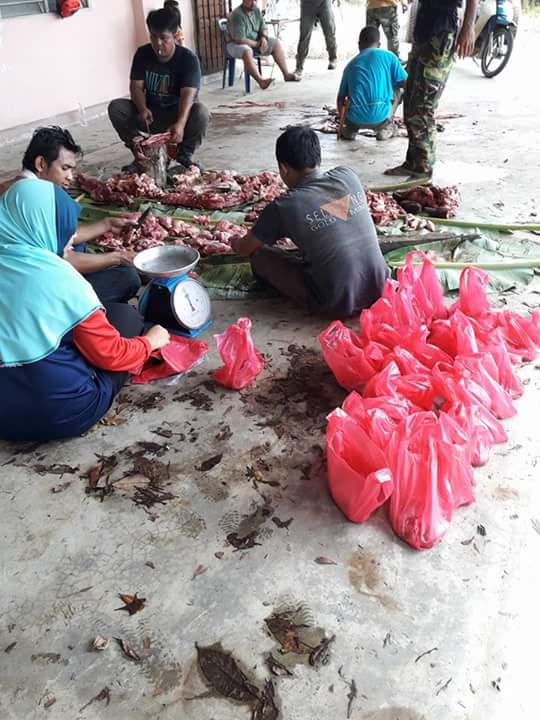 FB_IMG_1504664351192