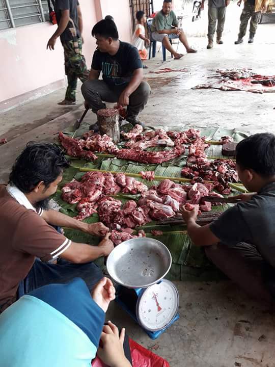 FB_IMG_1504664353611