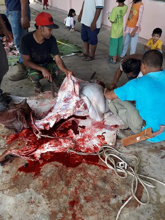 FB_IMG_1504664361079