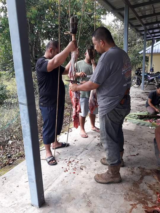 FB_IMG_1504664363745