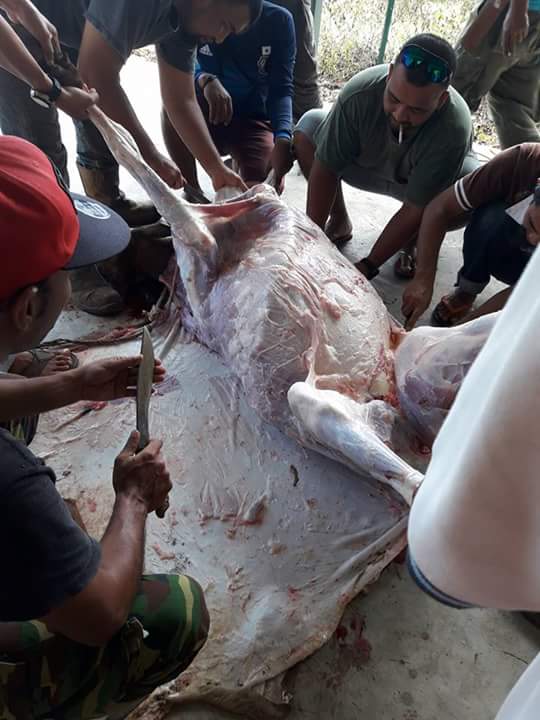 FB_IMG_1504664366259