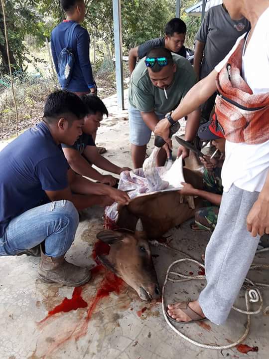 FB_IMG_1504664368981