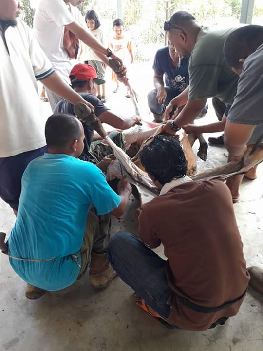 FB_IMG_1504664371824