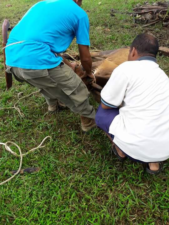 FB_IMG_1504664377988