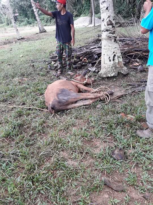 FB_IMG_1504664380609