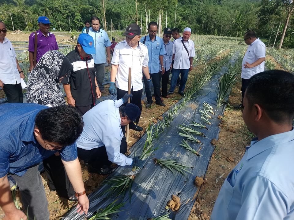 51741999 2035505339859804 5220588209200693248 n