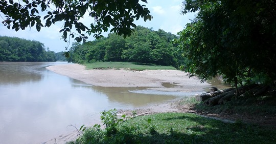 kg mela