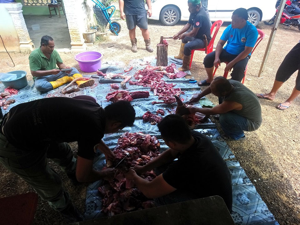 67787569_2335433593200309_210930585550454784_n