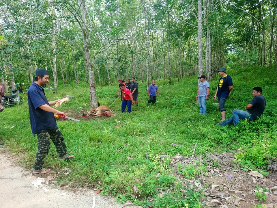 67799294_2335407343202934_5077087295937445888_n