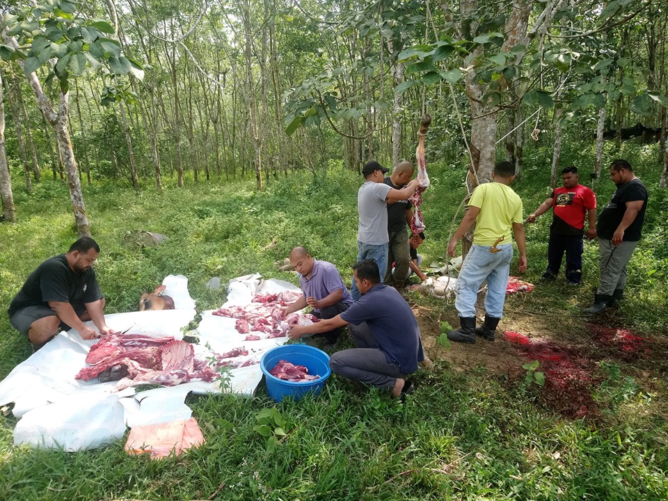 67824069_2335410159869319_2079833923063382016_n