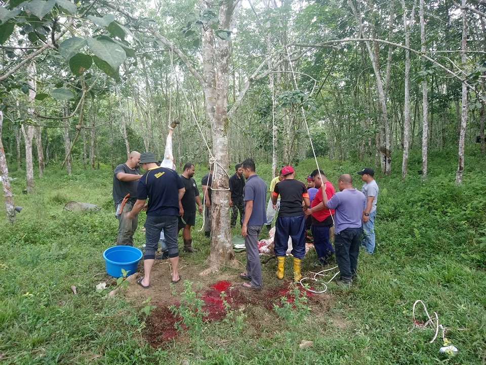 67885703_2335409083202760_1100922421453520896_n