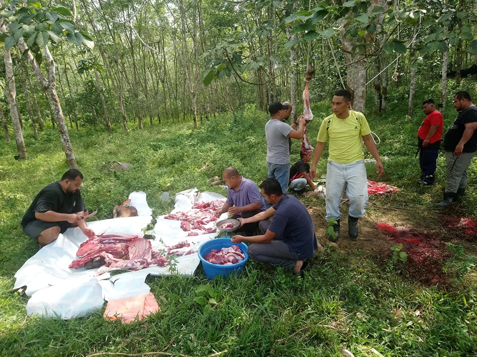 67898902_2335410796535922_6895224772846682112_n