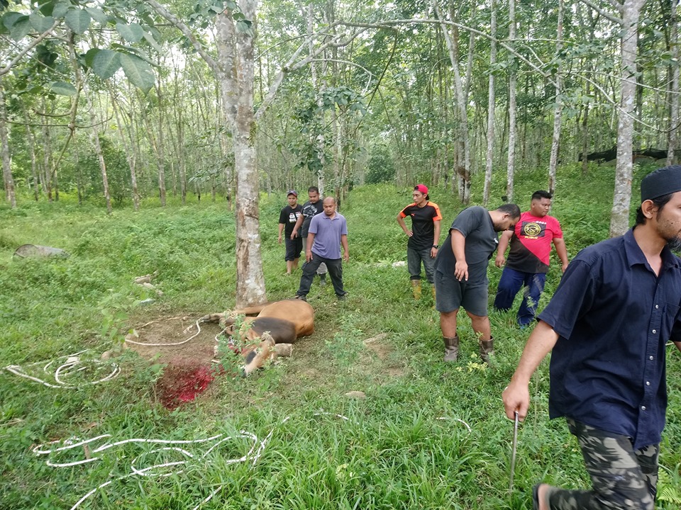 67922860_2335406033203065_2003507470835646464_n