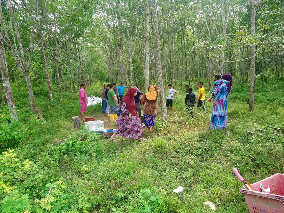 67953517_2335408489869486_6904724957037592576_n