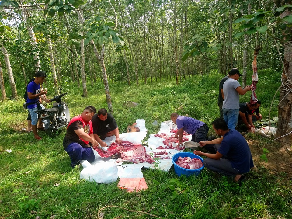 68581762_2335427683200900_7370528080277798912_n