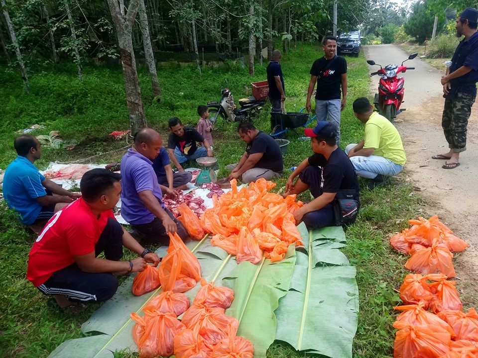 68720193_2335432643200404_5405957898184425472_n